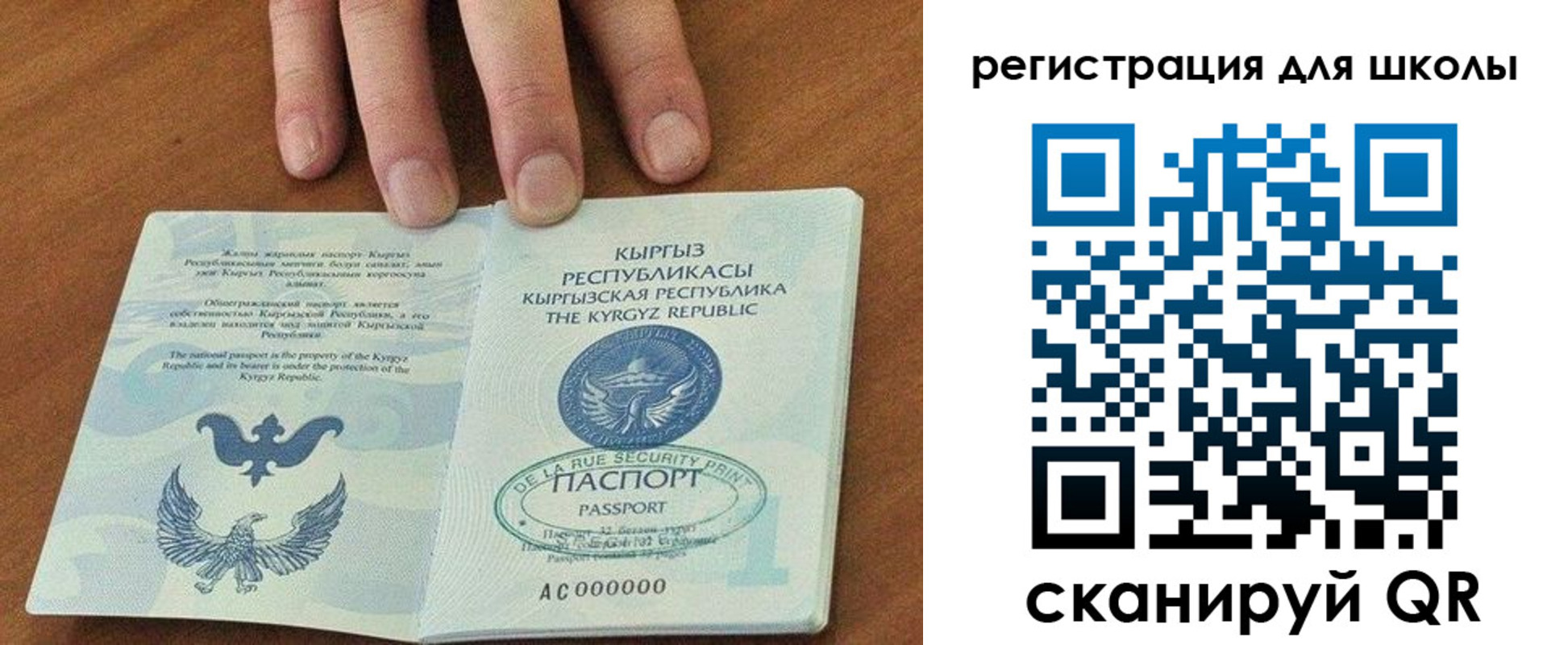 временная регистрация 2025 в Елизово